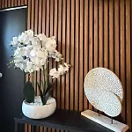 'chill In Biscarosse' 2 Bedrooms -parking-beach * Biscarrosse