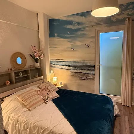 'chill In Biscarosse' 2 Bedrooms -parking-beach Apartment Biscarrosse
