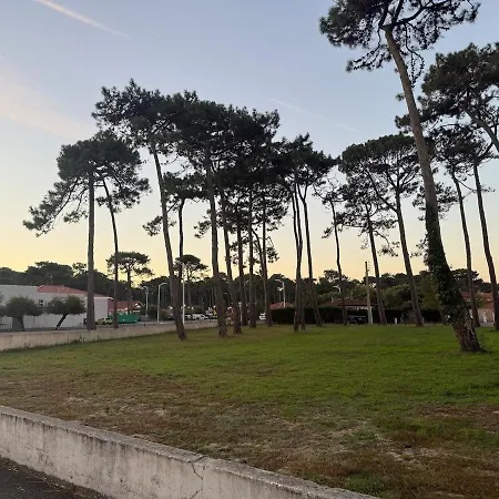 'chill In Biscarosse' 2 Bedrooms -parking-beach Apartment Biscarrosse