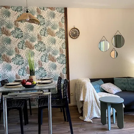 Apartment 'chill In Biscarosse' 2 Bedrooms -parking-beach Biscarrosse