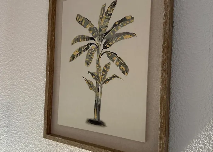 'chill In Biscarosse' 2 Bedrooms -parking-beach