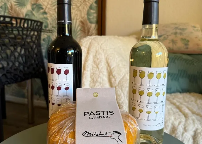 'chill In Biscarosse' 2 Bedrooms -parking-beach *