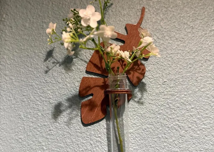 'chill In Biscarosse' 2 Bedrooms -parking-beach *