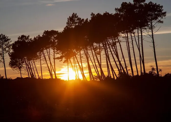 'chill In Biscarosse' 2 Bedrooms -parking-beach