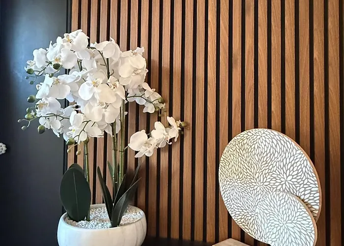 'chill In Biscarosse' 2 Bedrooms -parking-beach * Biscarrosse