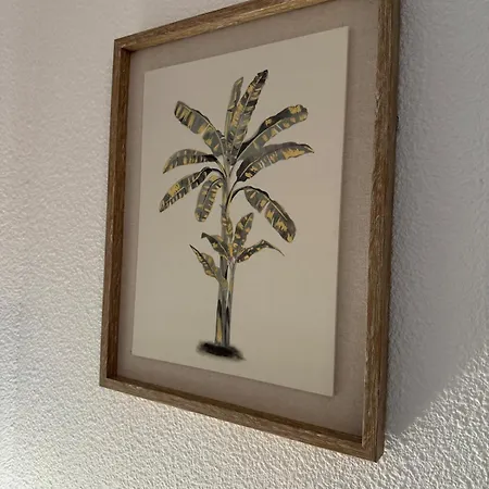 'chill In Biscarosse' 2 Bedrooms -parking-beach