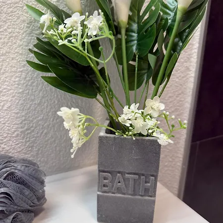 Lägenhet 'chill In Biscarosse' 2 Bedrooms -parking-beach Biscarrosse