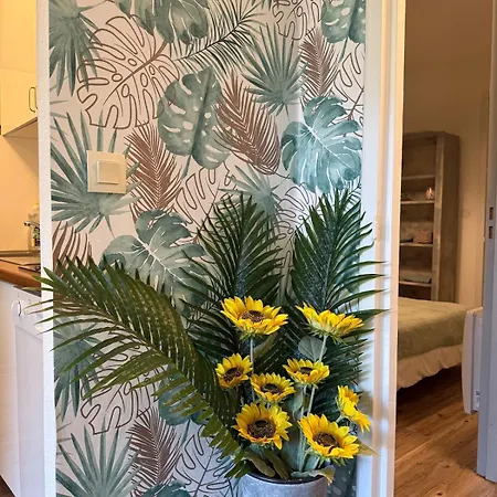 'chill In Biscarosse' 2 Bedrooms -parking-beach