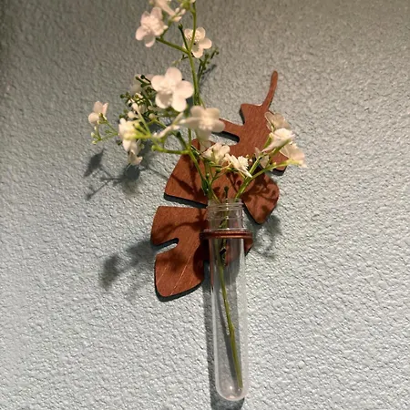 'chill In Biscarosse' 2 Bedrooms -parking-beach *