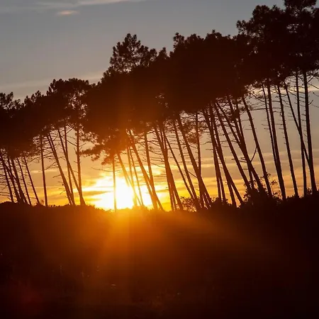 'chill In Biscarosse' 2 Bedrooms -parking-beach