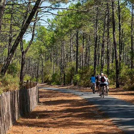 'chill In Biscarosse' 2 Bedrooms -parking-beach *