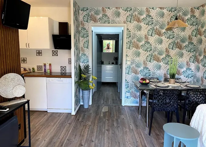 アパート 'chill In Biscarosse' 2 Bedrooms -parking-beach