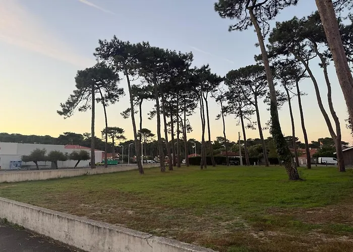 'chill In Biscarosse' 2 Bedrooms -parking-beach アパート ビスカロッス