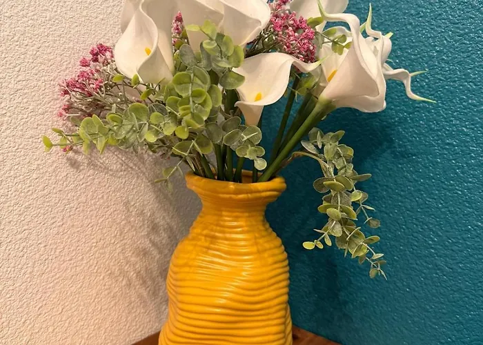 'chill In Biscarosse' 2 Bedrooms -parking-beach アパート *