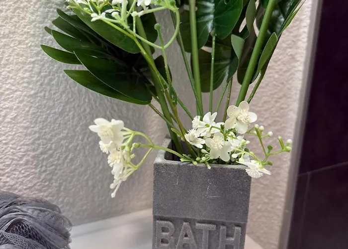 アパート 'chill In Biscarosse' 2 Bedrooms -parking-beach ビスカロッス