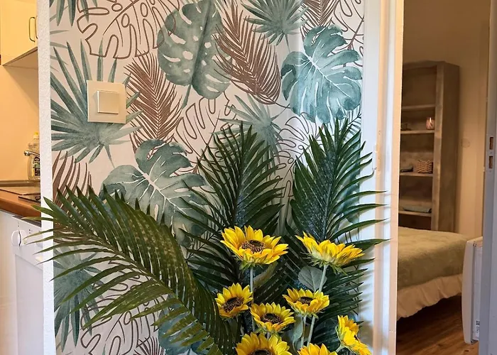 'chill In Biscarosse' 2 Bedrooms -parking-beach